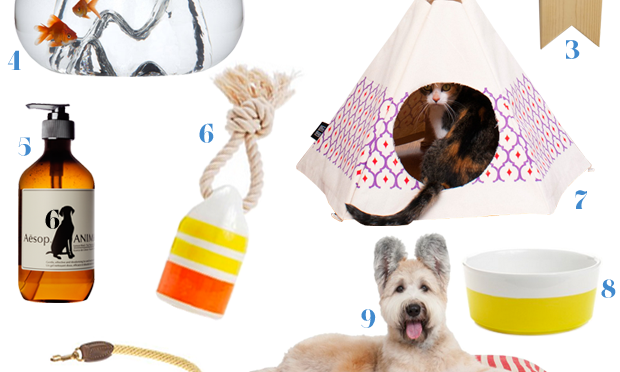 Pet Accessories That Aren’t Embarrassing by Creative Ideas Blog