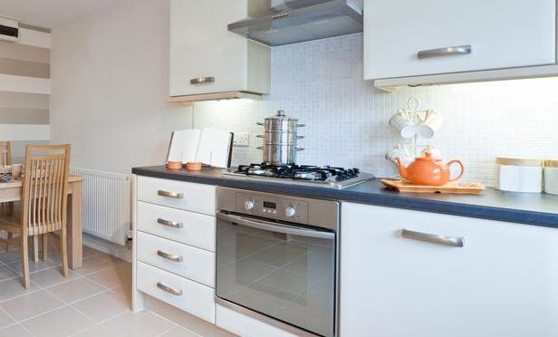 Ts Modest Kitchen Inspiration Cabinets Sx Lg by Fankous