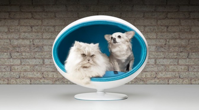 Contemporary Elevated Luxury Bed For Cats And Dogs: Padpod By Bark & Miao by Creative Ideas Blog
